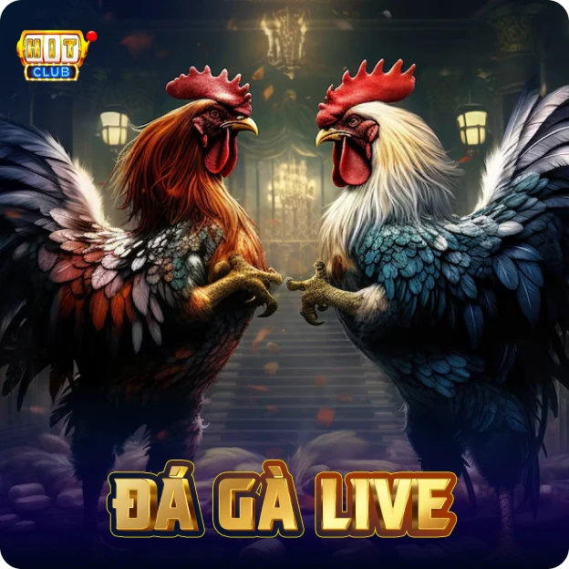 Đá Gà Live