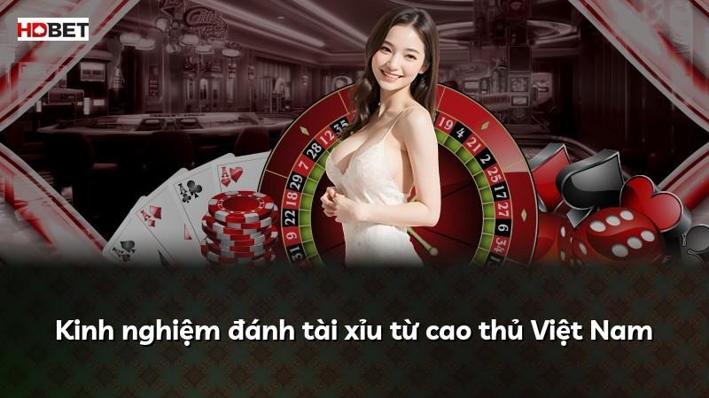 Kinh nghiệm đánh tài xỉu từ cao thủ Việt Nam